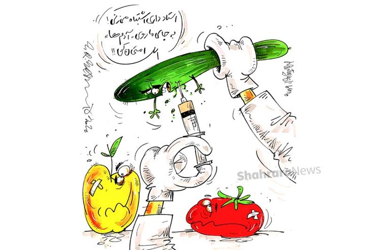 کاریکاتور | به گفته محققان، کرونا روی سیب و گوجه‌فرنگی تا ۲۴ ساعت و روی خیار تا ۷۲ ساعت قابلیت بیماری‌زایی دارد