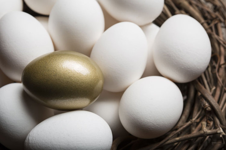 قیمت تمام‌شده تخم‌مرغ برای مرغدار بیش از ۱۵ هزار تومان است