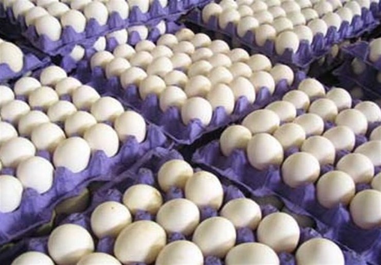 قیمت هر کیلو تخم‌مرغ در بازار امروز چند؟
