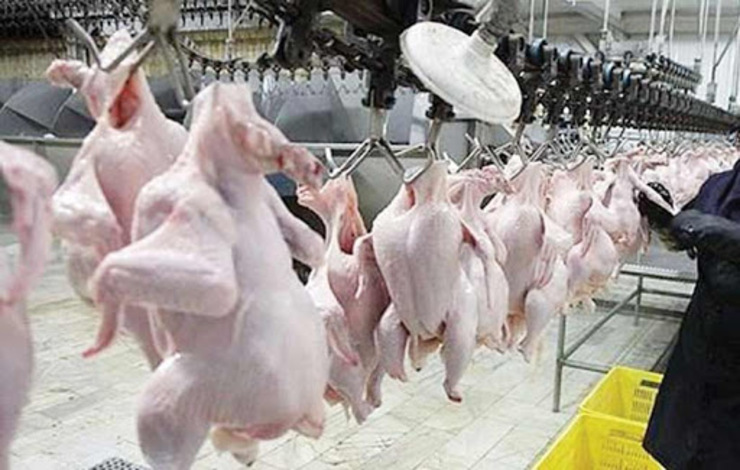 قیمت مصوب مرغ افزایش پیدا کرد | ۴ هزار و ۵۰۰ تومان افزایش قیمت