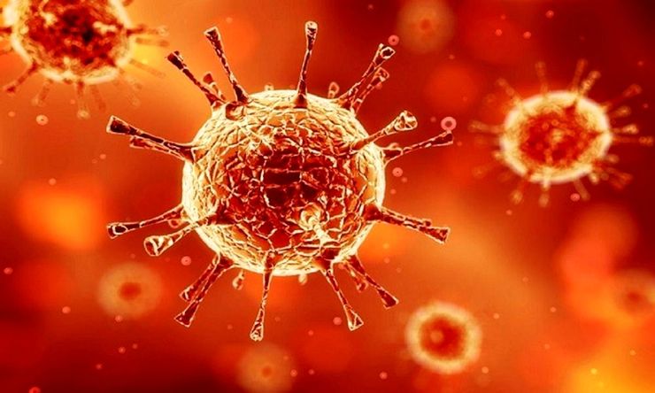 وزیر بهداشت: ثبت ۲۹ مورد ویروس جهش‌یافته کرونا طی ۲۴ ساعت در یک استان