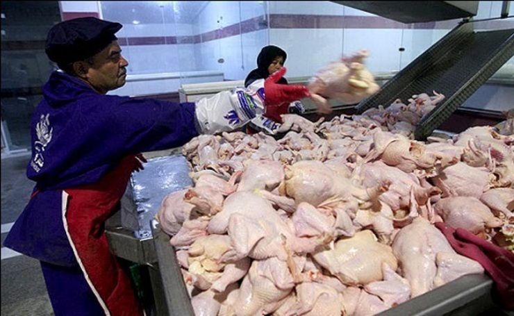 با بازگشایی کشتارگاه‌ها گوشت مرغ از فردا (3 فروردین) به میزان نیاز وارد بازار می‌شود