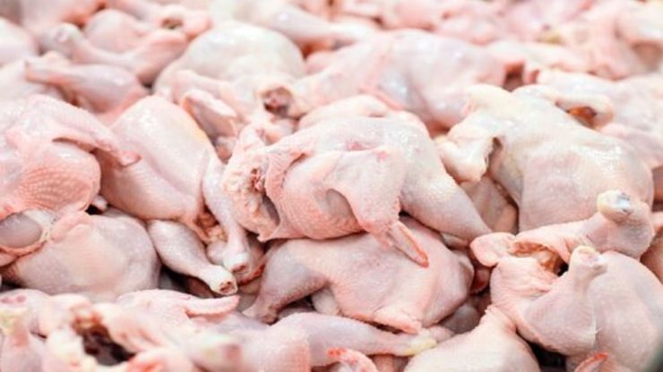 هشدار درباره خون مردگی گوشت مرغ