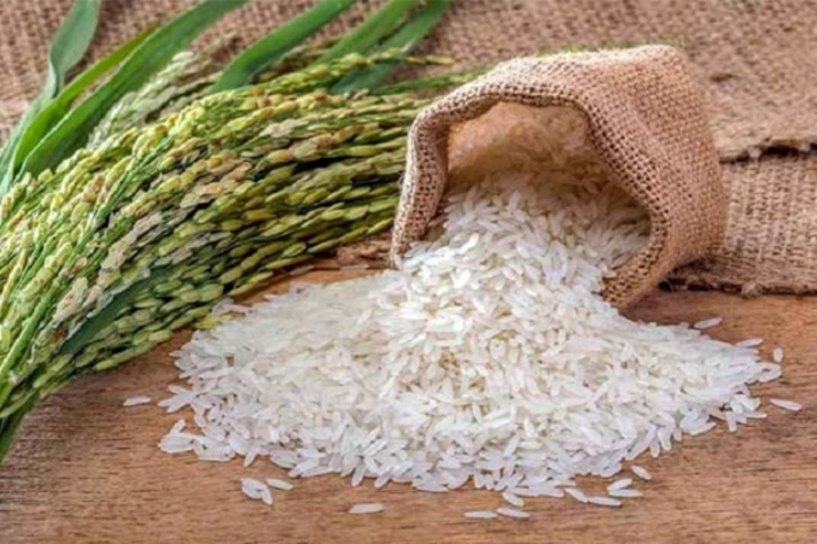 جایگزین های سالم برنج کدام اند؟