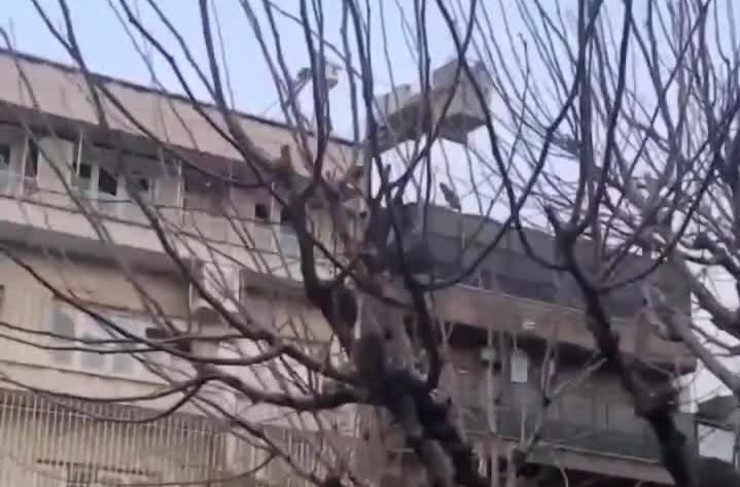 ساختگی بودن فیلم موش‌های روی درخت در تهران و واکنش به آن + ویدئو