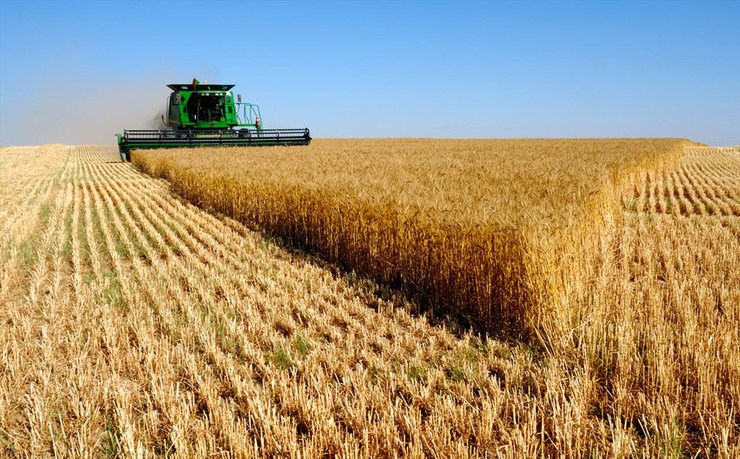 پیگیری پرداخت سهم حمایتی دولت از توسعه کشاورزی