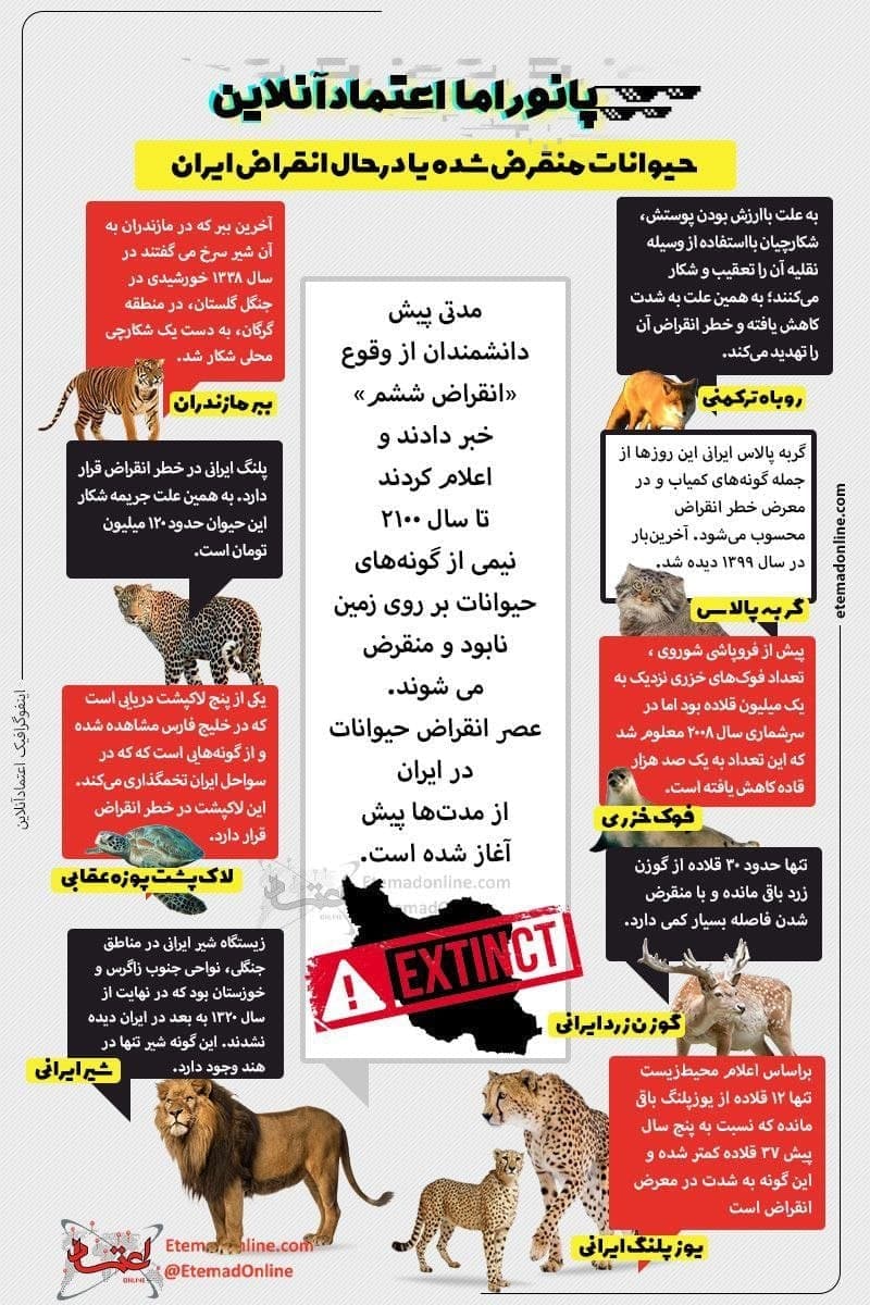 اینفوگرافیک | حیوانات منقرض شده یا در حال انقراض ایران کدام اند؟