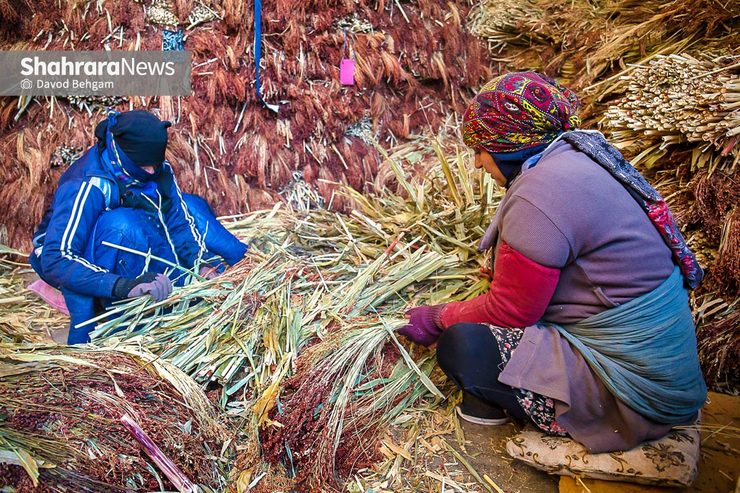 زندگی، جاری در خرمن جارو | روایتی از کارگاه جاروبافی و کارگران این این پیشه سنتی