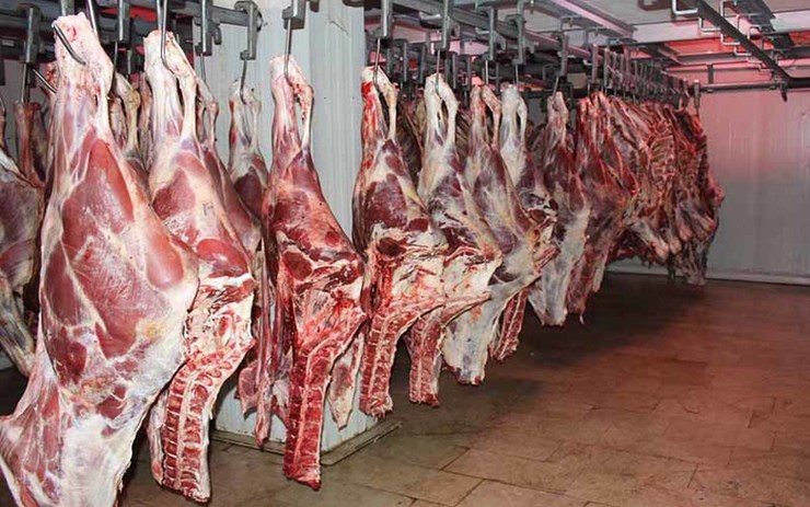 گوشت گوسفند ۱۵ هزار تومان گران شد