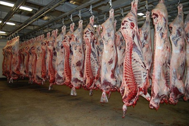 قیمت گوشت در سال جدید بیشتر خواهد شد | حتی ۲۰ هزار راس دام هم صادر نکردیم