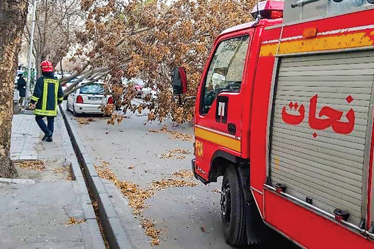 ۷۵ حادثه طوفانی در مشهد در پی وزش باد با سرعت ۶۵ کیلومتر