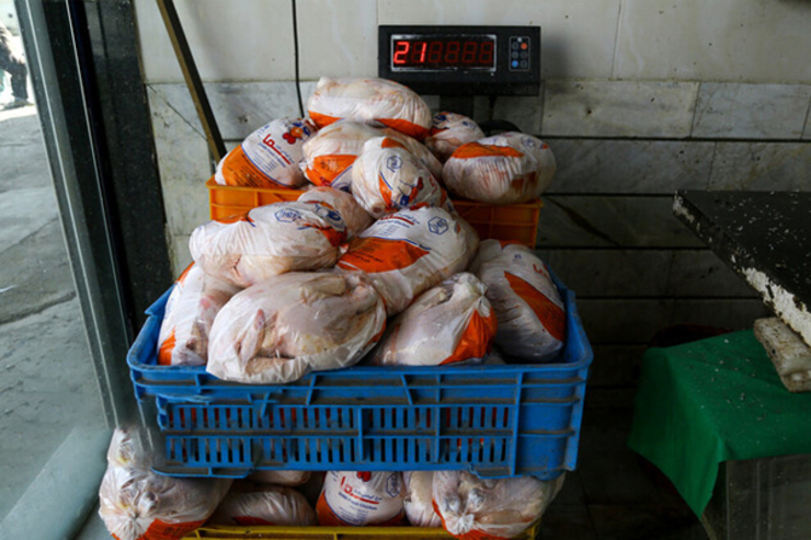 قیمت مرغ در بازار باید چقدر باشد؟ (۵ بهمن ۱۴۰۰)