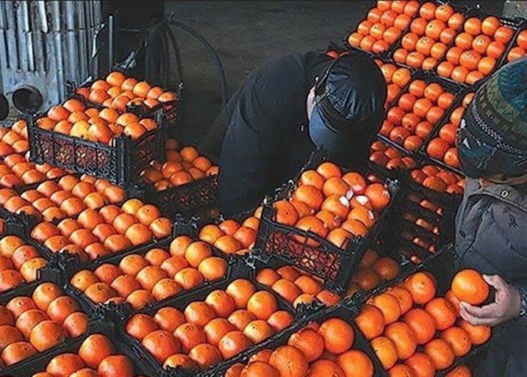قیمت جدید میوه‌های تنظیم بازاری اعلام شد (۲۷ اسفند ۱۴۰۰) + جزئیات