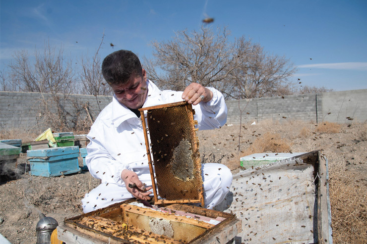 مشکلات فروش عسل طبیعی