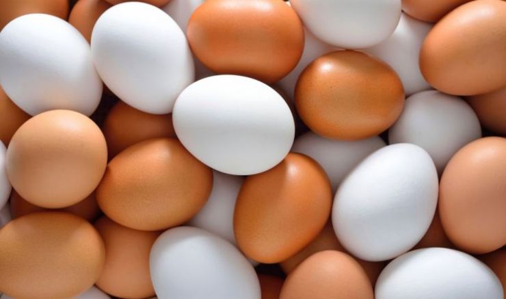 قیمت منطقی هر عدد تخم مرغ بسته بندی چقدر است؟