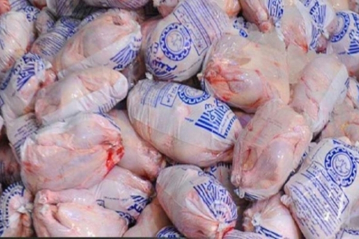 ۲۰۰ تن سهمیه مرغ منجمد به خراسان رضوی اختصاص داده شد