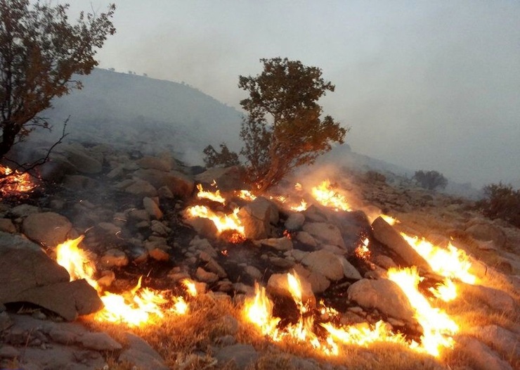 دختر ۳ ساله قربانی آتش‌سوزی در مراتع