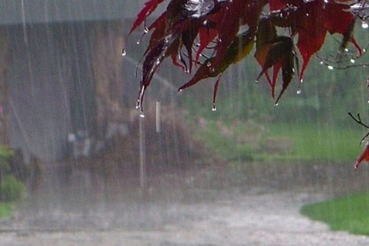 رگبار باران در بیش از ۱۵ استان‌ کشور