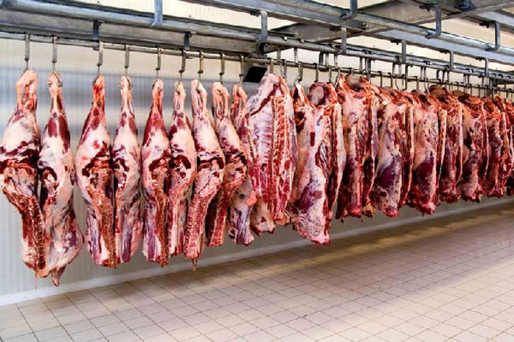 گوشت گوسفندی ١٠ هزار تومان ارزان شد