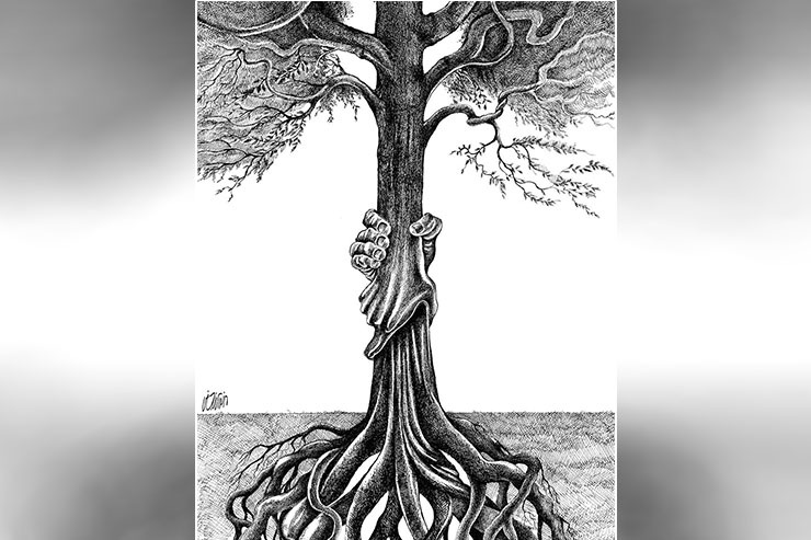 کارتون | داستان درخت‌های معلق