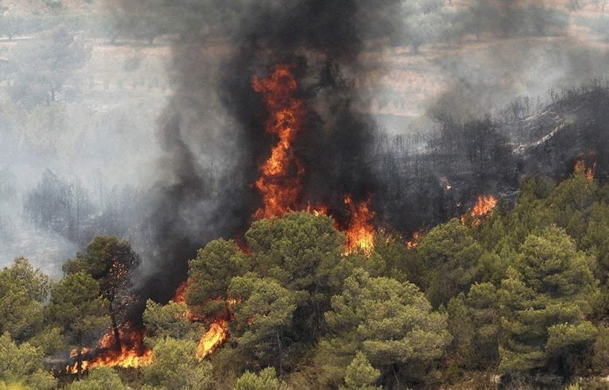 آتش‌سوزی در جنگل‌های ایران | رشته کوه‌های زاگرس به خاکستر نشسته است