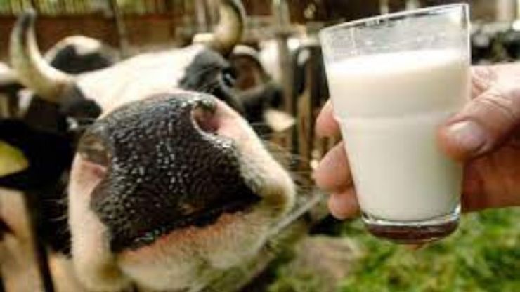 افزایش ۴۰ درصدی قیمت شیر از امروز