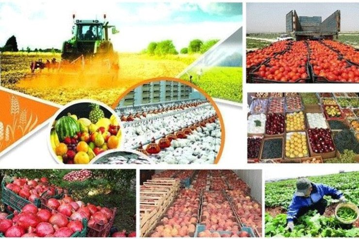 ستاد تنظیم بازار کشاورزی تشکیل می‌شود