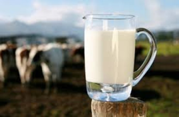 افزایش قیمت شیرخام برای حفظ تولید بود