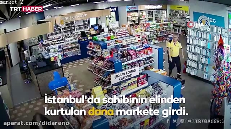 فیلم| فرار گاو از دست صاحب خود و ورود به سوپرمارکتی در ترکیه