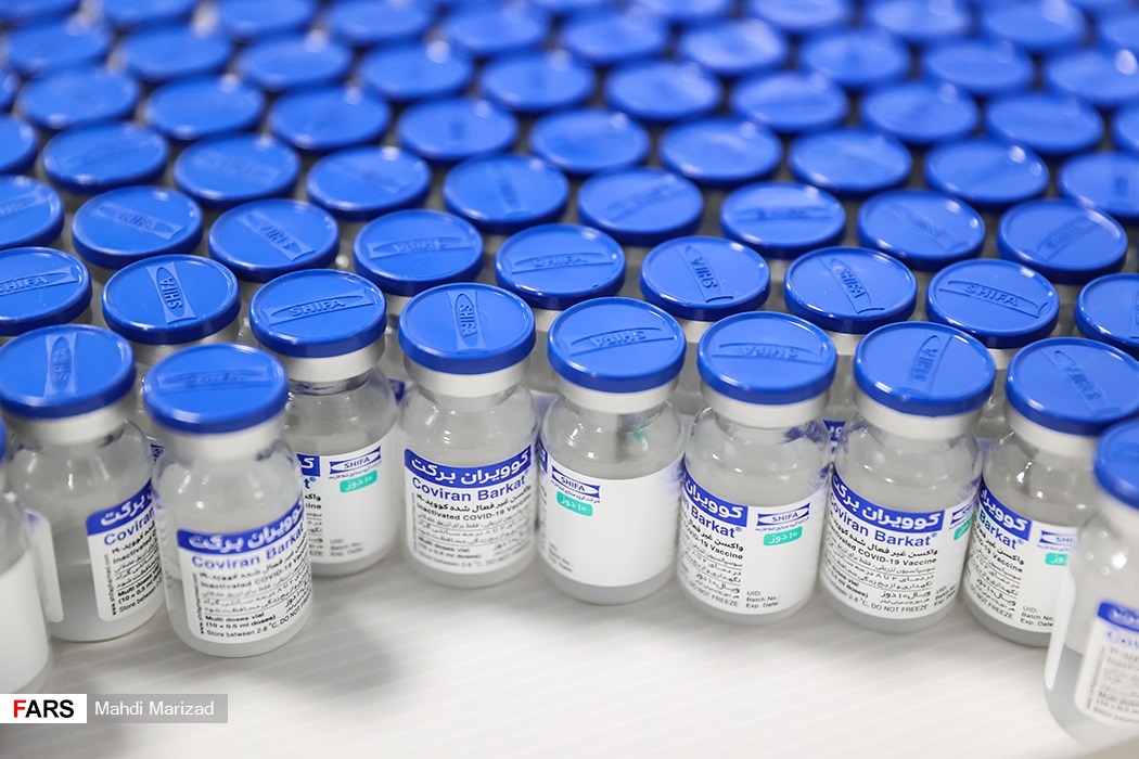 نحوه تولید واکسن برکت