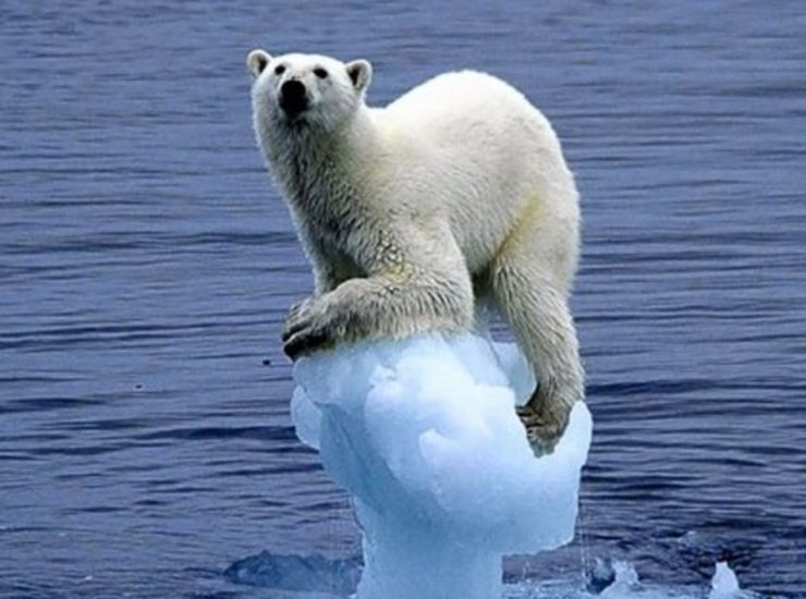 قدیمی‌ترین یخ دریای قطب شمال با گرم شدن زمین درحال آب شدن است