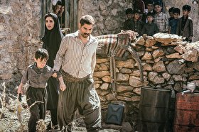 نگاهی به فیلم «درخت گردو» | از رنجی که برده ایم