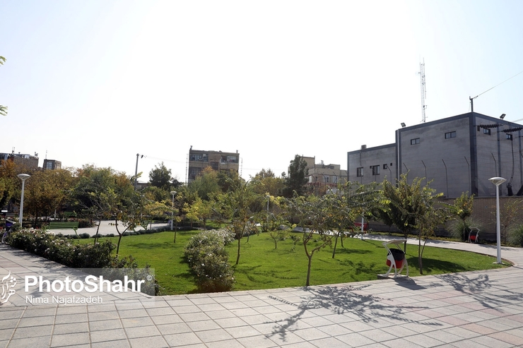 توسعه فضای سبز مشهد با اولویت محلات حاشیه شهر سیاست کاری شورای ششم است