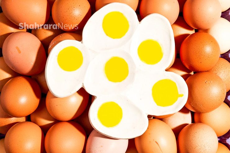 درباره فواید غذایی تخم مرغ و نکاتی برای مصرف روزانه آن