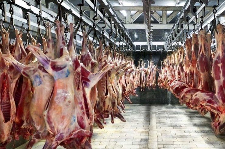 بلاتکلیفی در بازار دام | گوشت منجمد برزیلی وارد می‌کنند، اما برای خرید از دامدار داخلی پول ندارند!