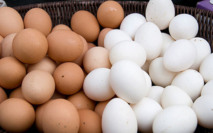 نرخ جدید تخم‌مرغ موجب عرضه مستقیم این کالا در بازار شد
