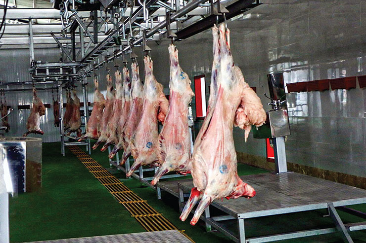 چرا با افزایش تولید دام، بازهم گوشت گران شد؟