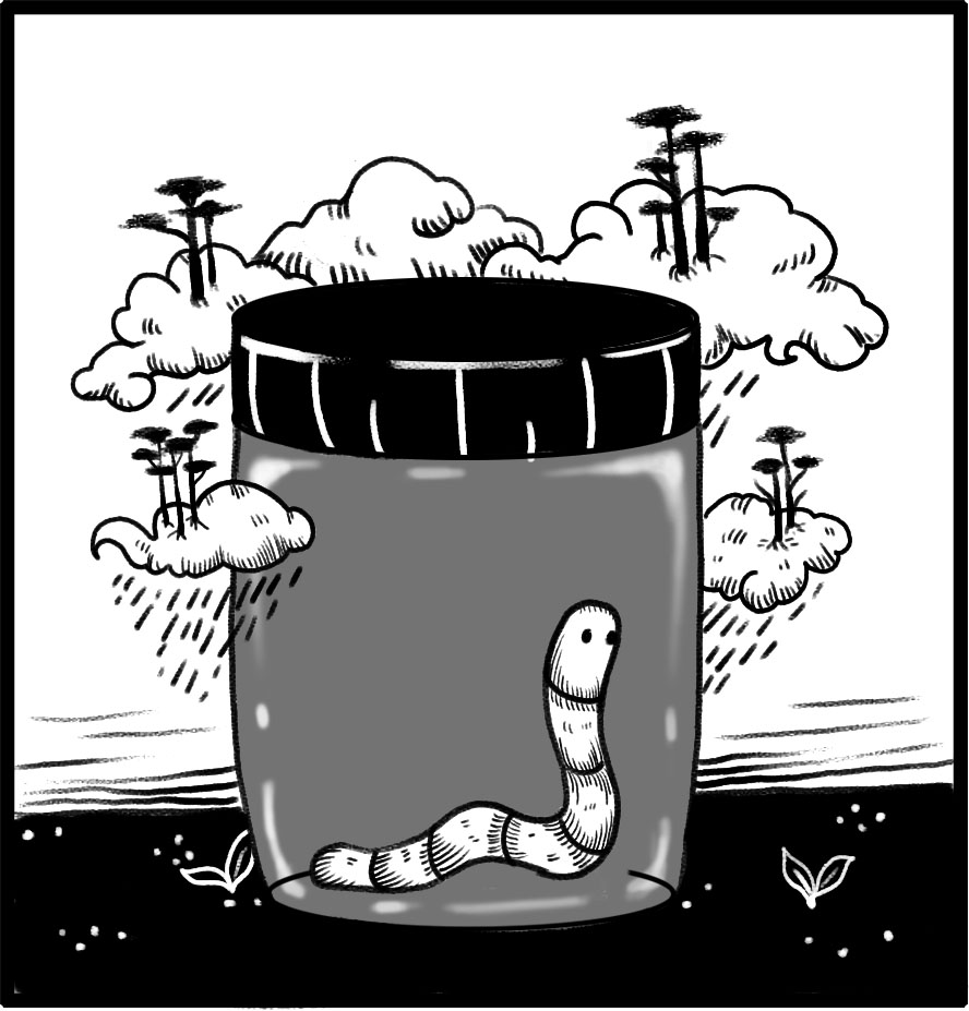 آثار نقاشی ساره کاظمی