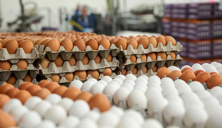 عرضه اینترنتی تخم‌مرغ در سراسر کشور با قیمت مصوب