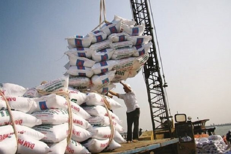 واردات برنج آزاد شد | قیمت برنج کاهشی می شود؟