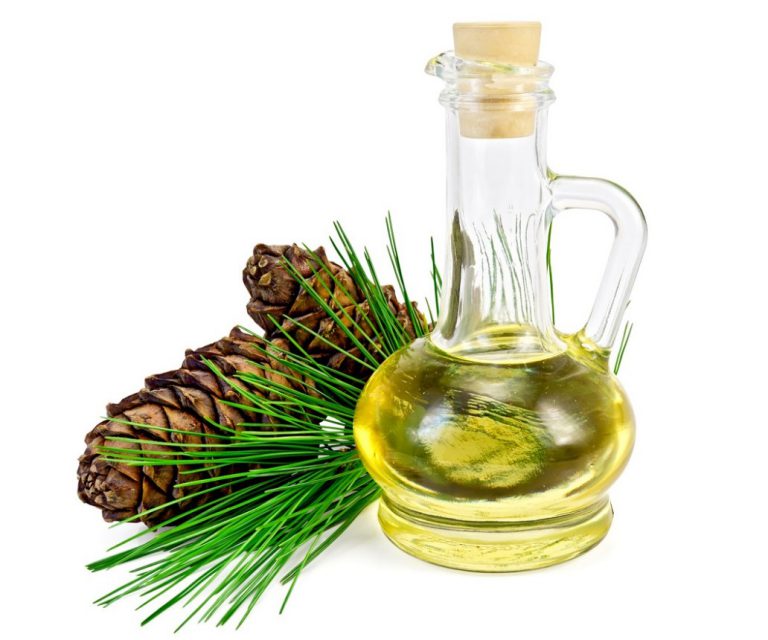 چلغوزه چیست و چه خواصی دارد؟ + عکس