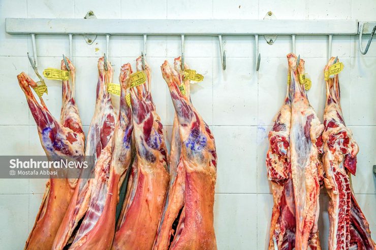 چرا افزایش کشتار دام تأثیر چندانی بر قیمت گوشت نگذاشت؟
