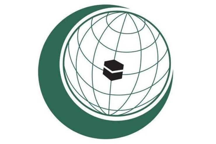 دولت عربستان که ریاست فعلی سازمان همکاری اسلامی را بر عهده دارد در حال آماده شدن برای برگزاری نشستی با موضوع افغانستان و به میزبانی پاکستان است.