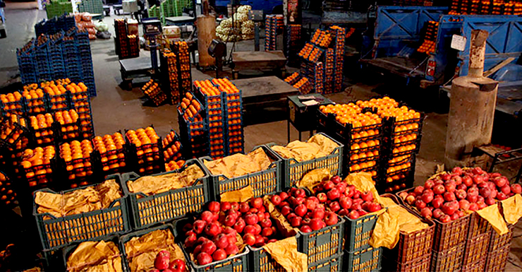  آغاز توزیع میوه تنظیم بازار در مشهد (۲ فروردین ماه ۱۴۰۱)