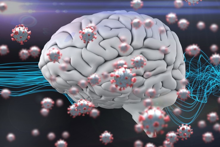 خطر کوچک شدن مغز در بهبودیافتگان کرونا | احتمال ابتلا به ۲۰ بیماری مختلف پس از کرونا