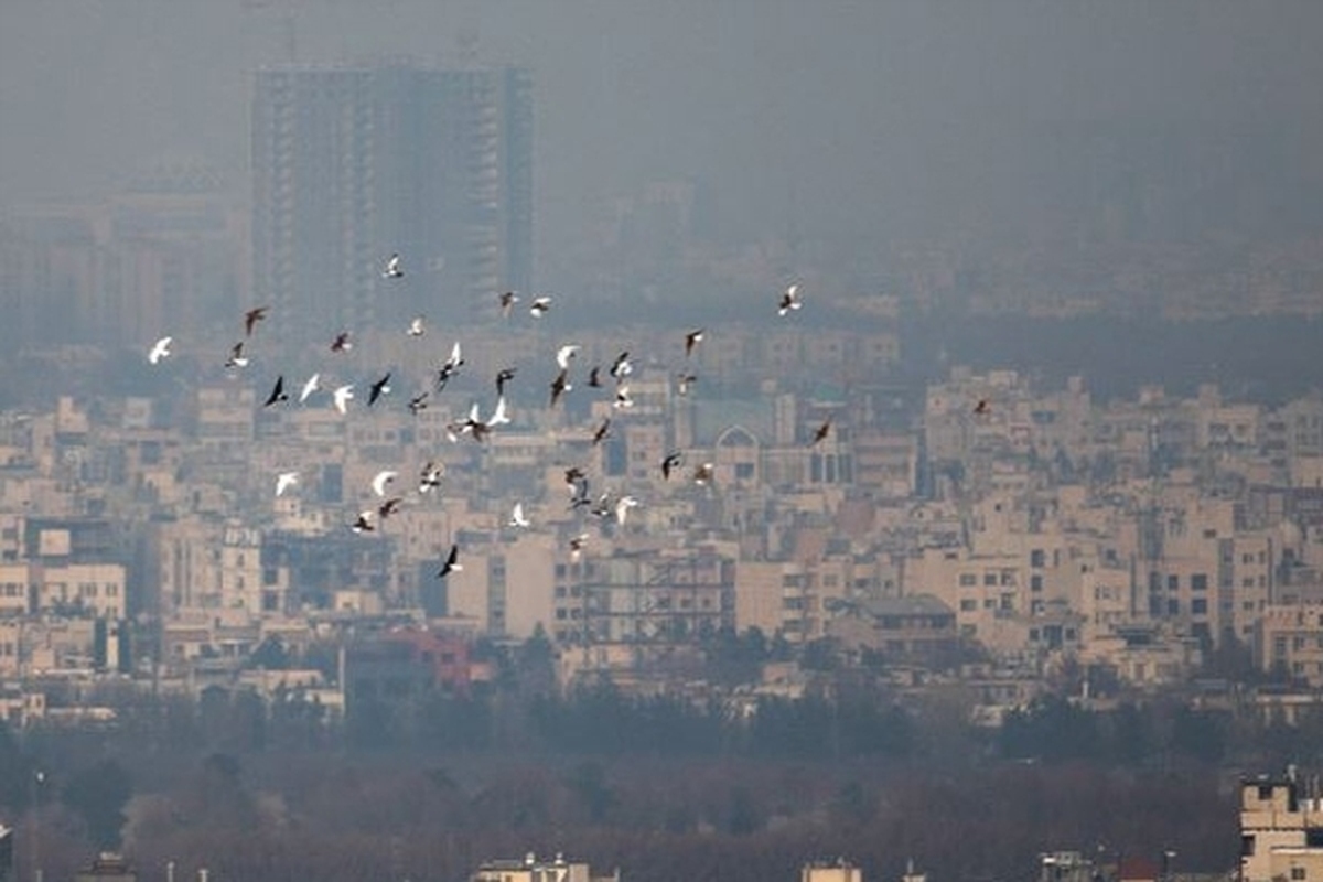 بررسی عملکرد کارگروه اضطرار آلودگی هوای پایتخت توسط سازمان بازرسی| استقرار هیئت بازرسی در استانداری تهران