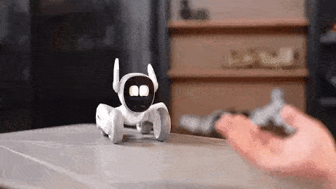 «لونا» (Loona)، جدیدترین ربات بامزه خانگی + فیلم