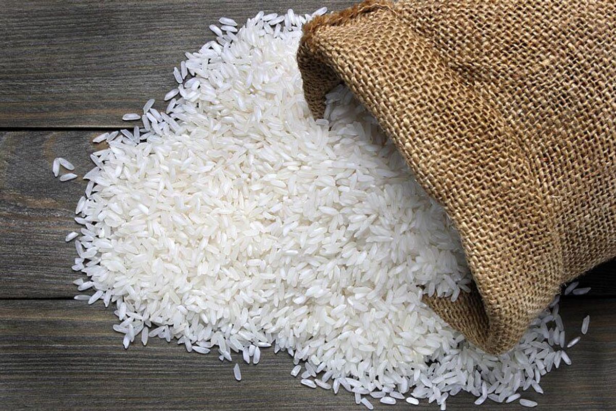واردات برنج آزاد شد؟ (۲۱ دی ماه ۱۴۰۱)