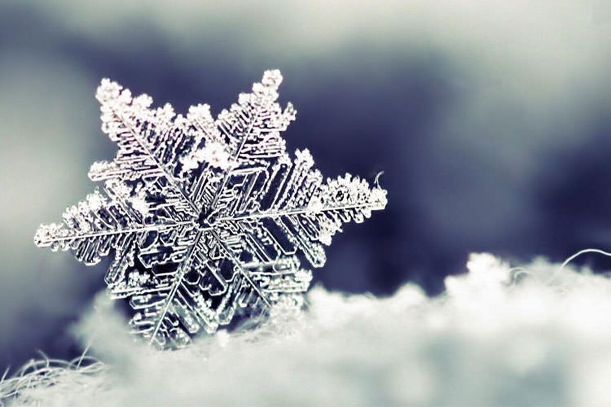 شعری درباره برف  از «شمس لنگرودی» | جز روزگار من همه چیز را سفید کرده برف...