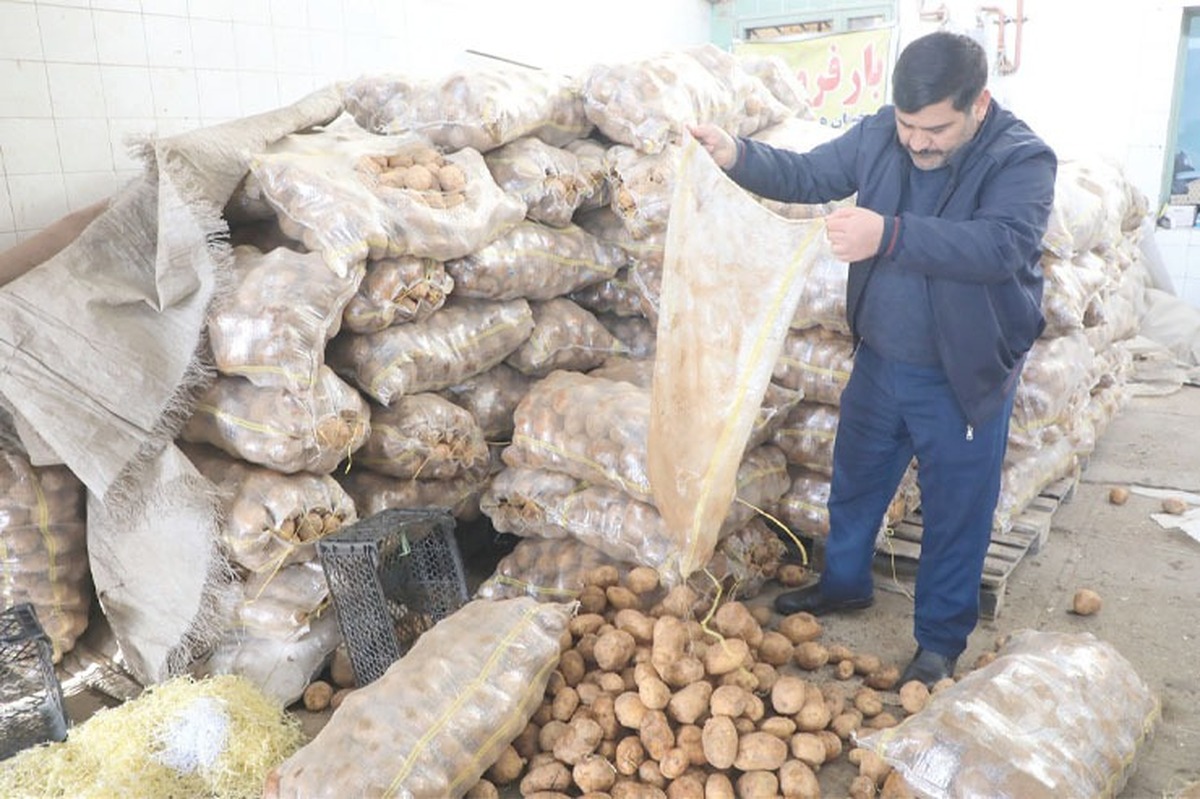 به علت سرما و قطع گاز هزار تن میوه در مشهد خراب شد